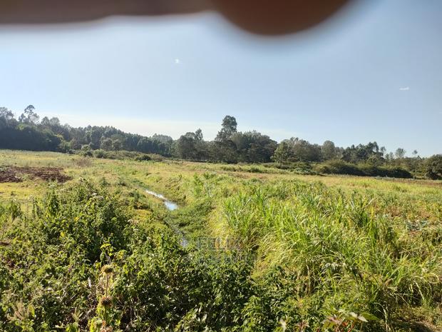 Nyeri / Gatitu 17 Acres - thumbnail 7