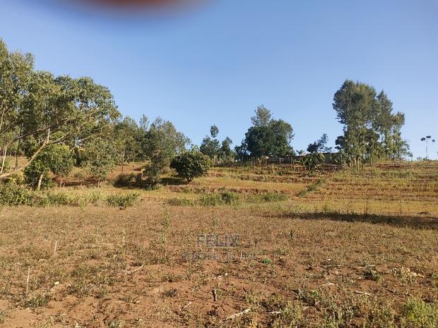 Nyeri / Gatitu 17 Acres - thumbnail 15