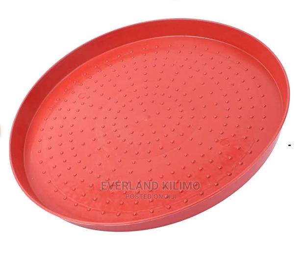 Poultry Feeding Tray - main view