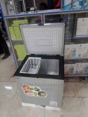 Ice Cooler Freezer 60 Lt