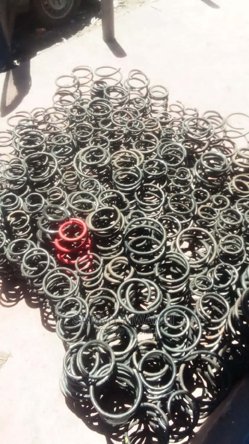 Lexus Front Heavy Duty Shocks and Springs