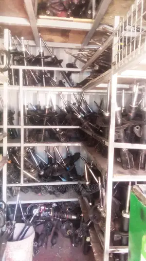 Lexus Front Heavy Duty Shocks and Springs