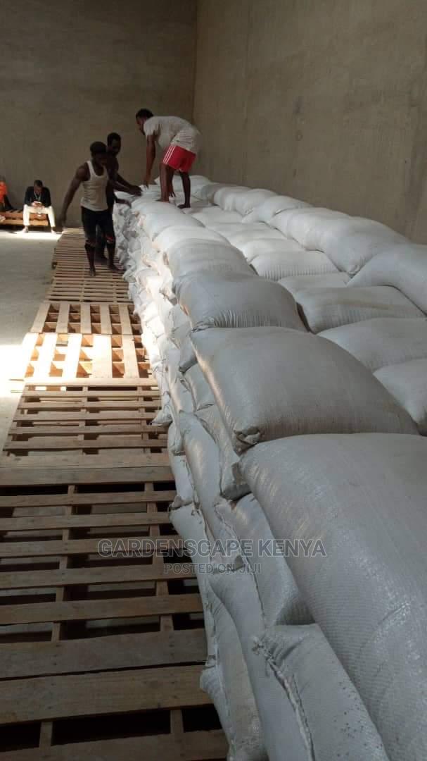 White Sesame Seeds Per Ton. - thumbnail 2