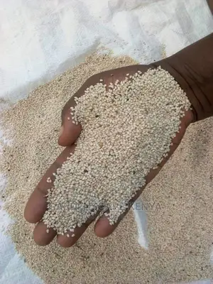 White Sesame Seeds Per Ton.