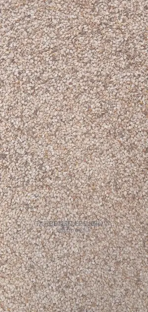 White Sesame Seeds Per Ton.