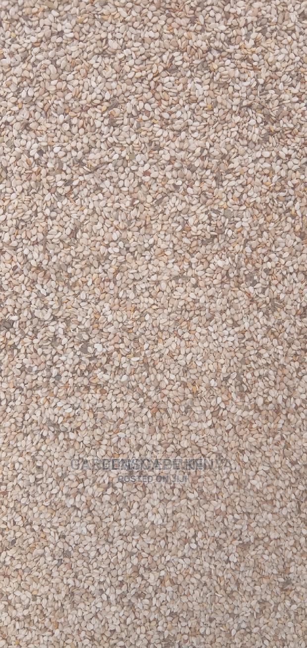 White Sesame Seeds Per Ton. - thumbnail 4