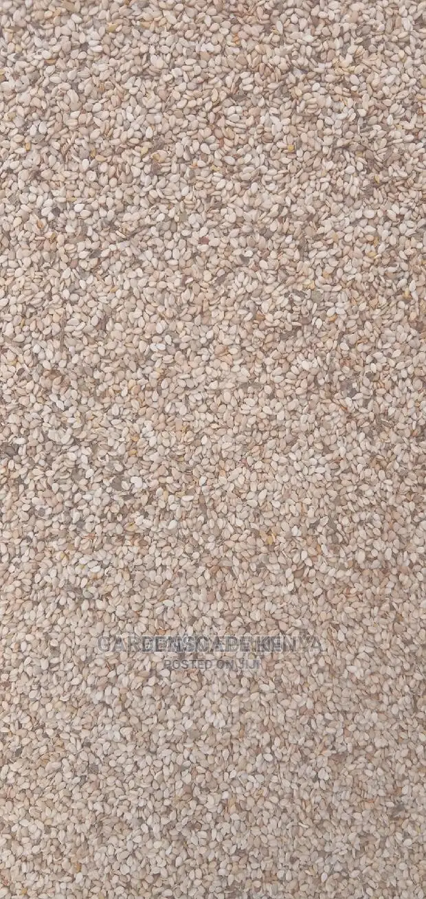 White Sesame Seeds Per Ton.