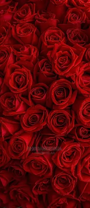 Flowers Bouquet