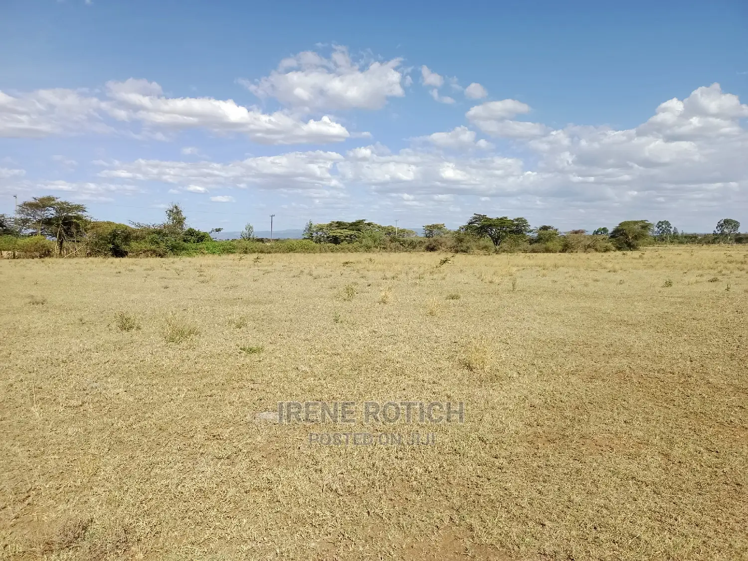 Land for Sale