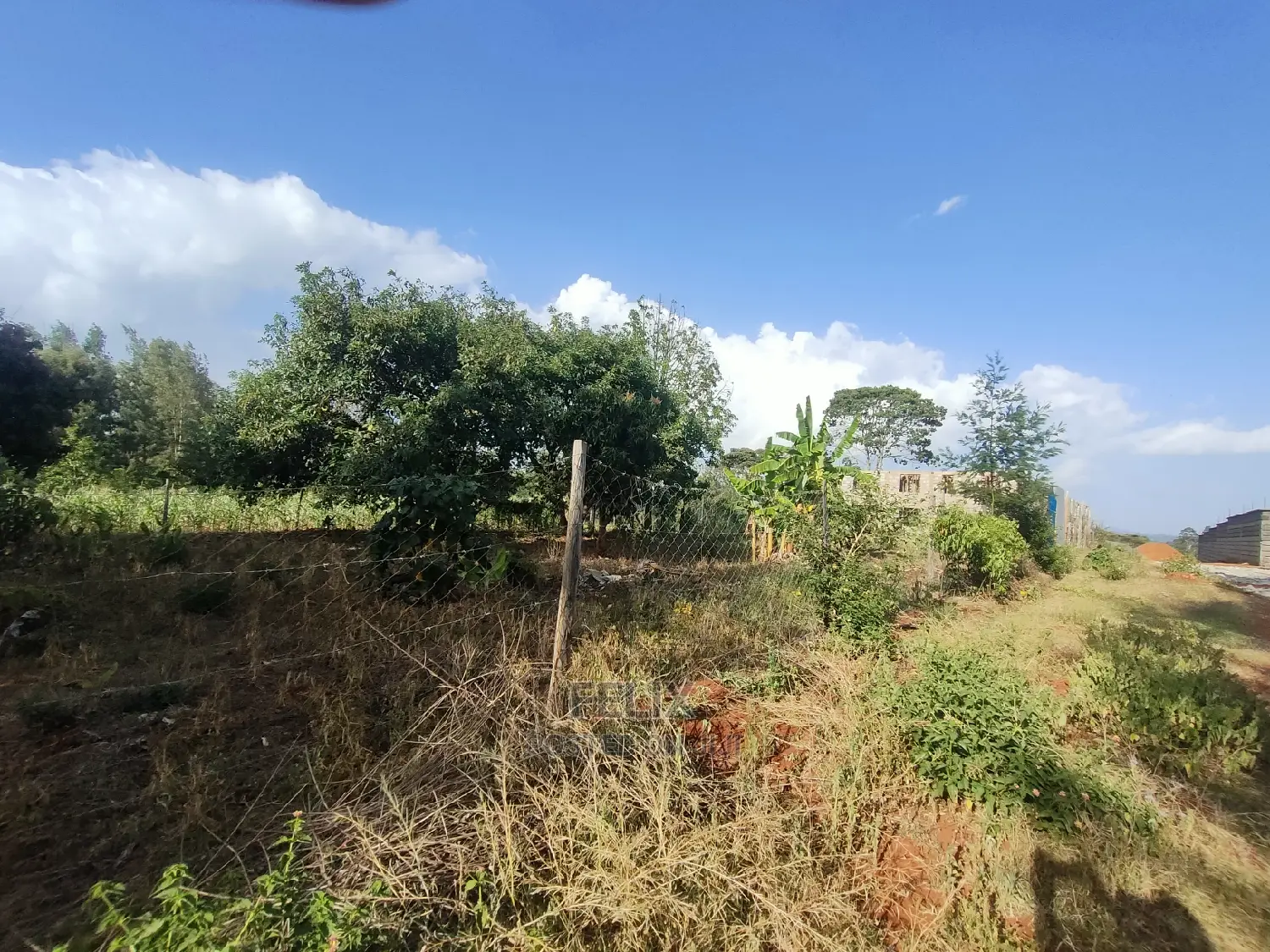 Karatina/Unjiru 1/4 Plot on Sale
