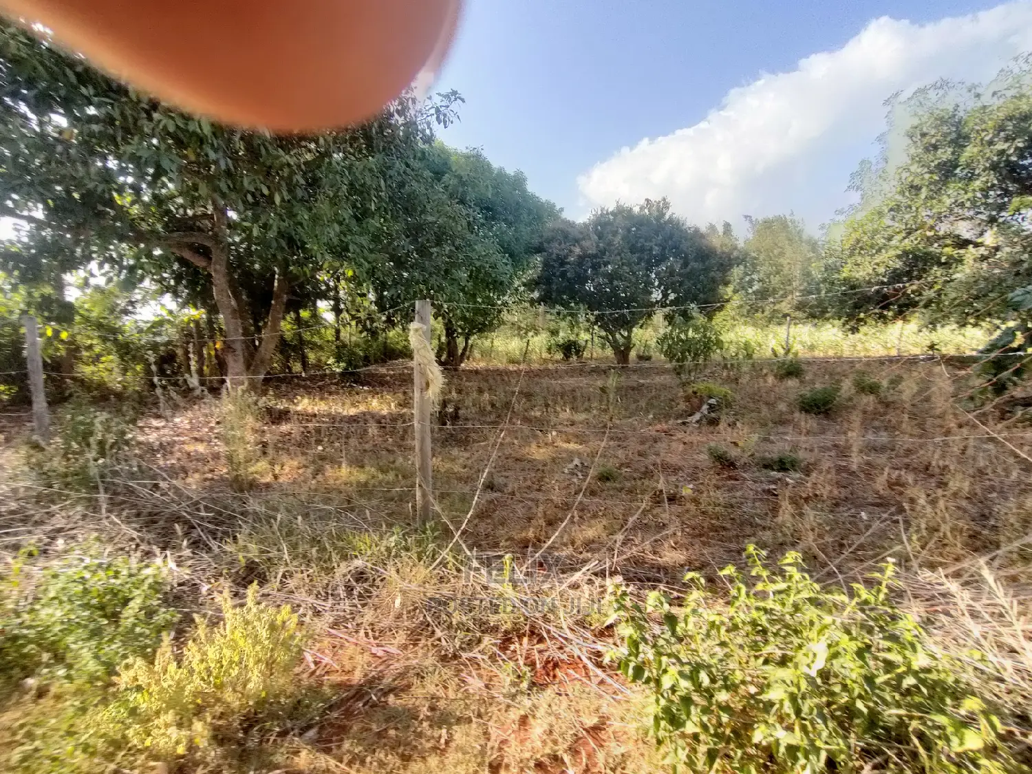 Karatina/Unjiru 1/4 Plot on Sale