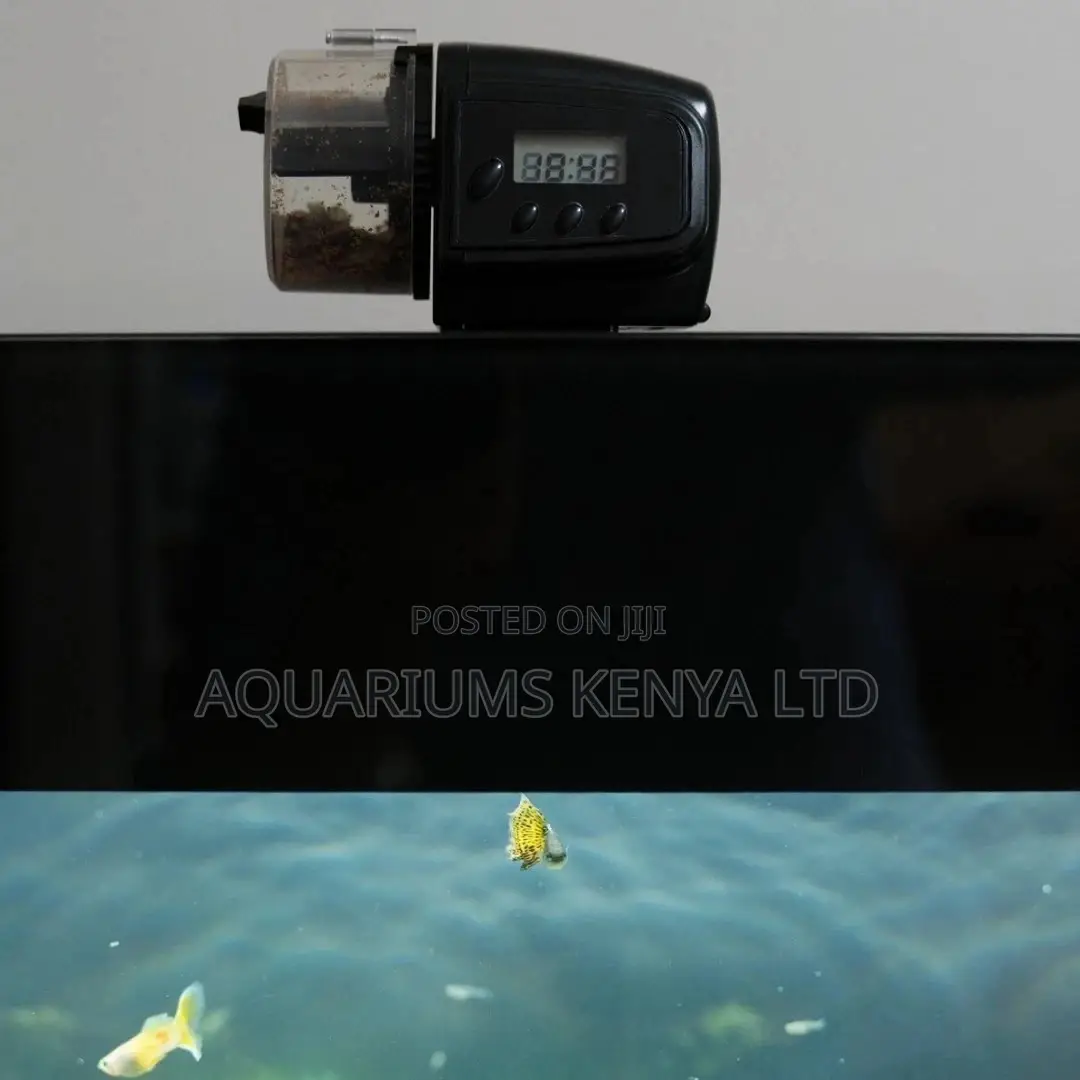 Automatic Feeders For Fish Aquarium