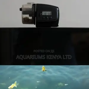 Automatic Feeders For Fish Aquarium
