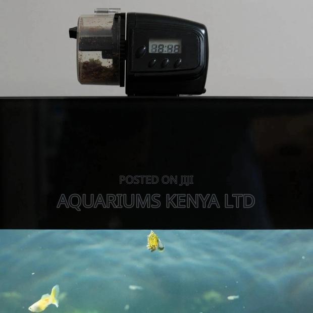 Automatic Feeders For Fish Aquarium