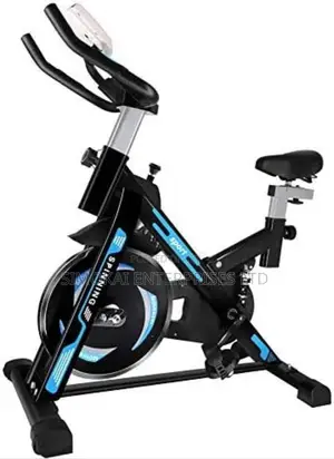 15kg Flywheel Home Spinning Bikes