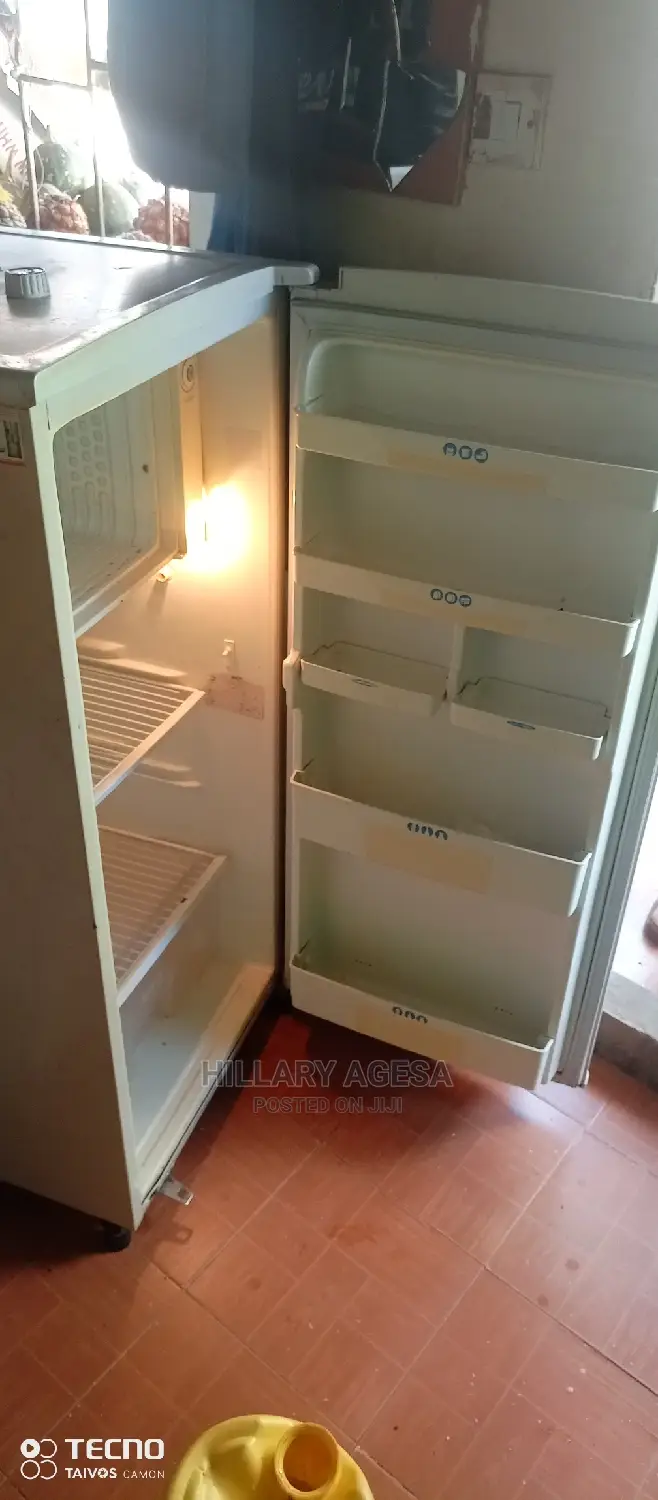 Repair Services Fridge