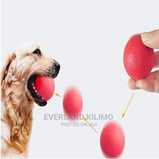 Fetch Ball Toy- Pet - main view