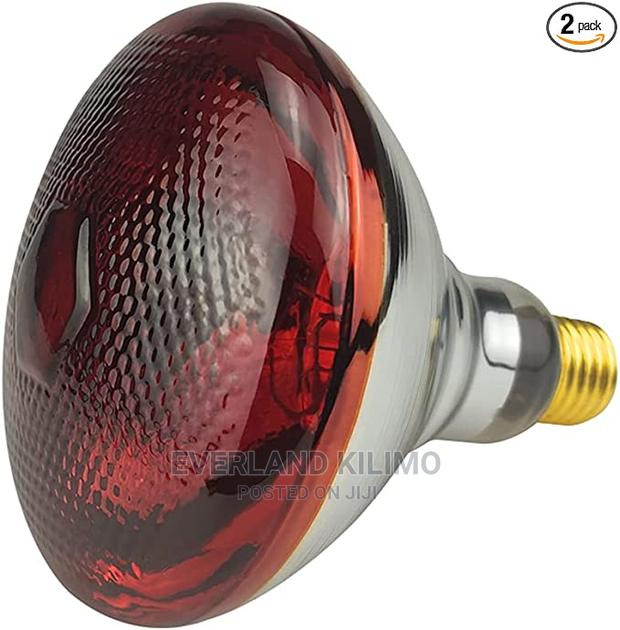 Poultry Infrared Bulb for Brooding - main view
