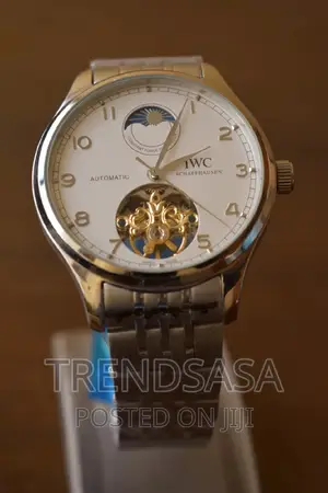 Iwc Tourbillion Moonphase Watch