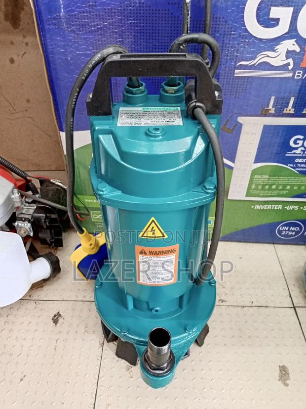 Premier Submersible Pump 0.5 - main view