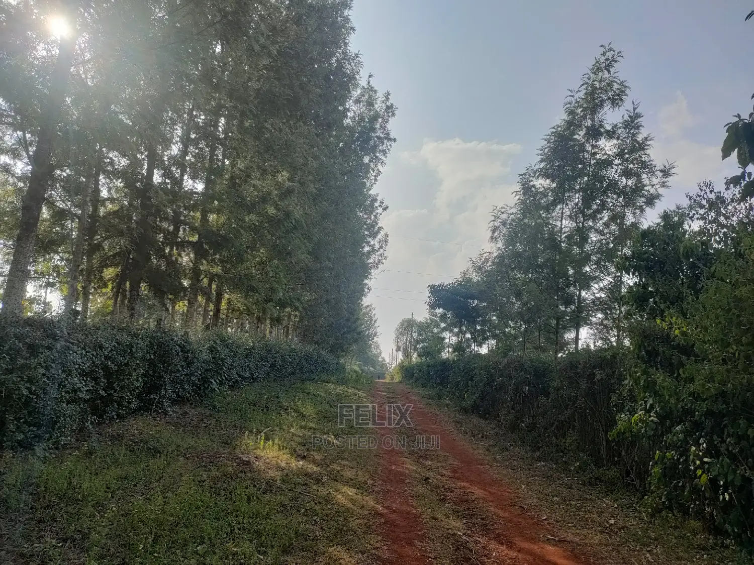 Nyeri/Kericho 7 Acres