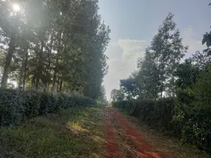 Nyeri/Kericho 7 Acres