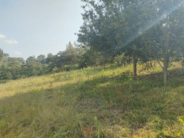 Nyeri/Kericho 7 Acres - thumbnail 6