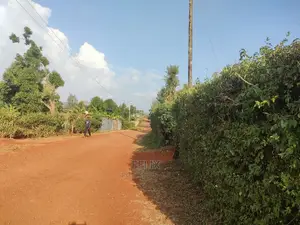 Nyeri/Kericho 7 Acres