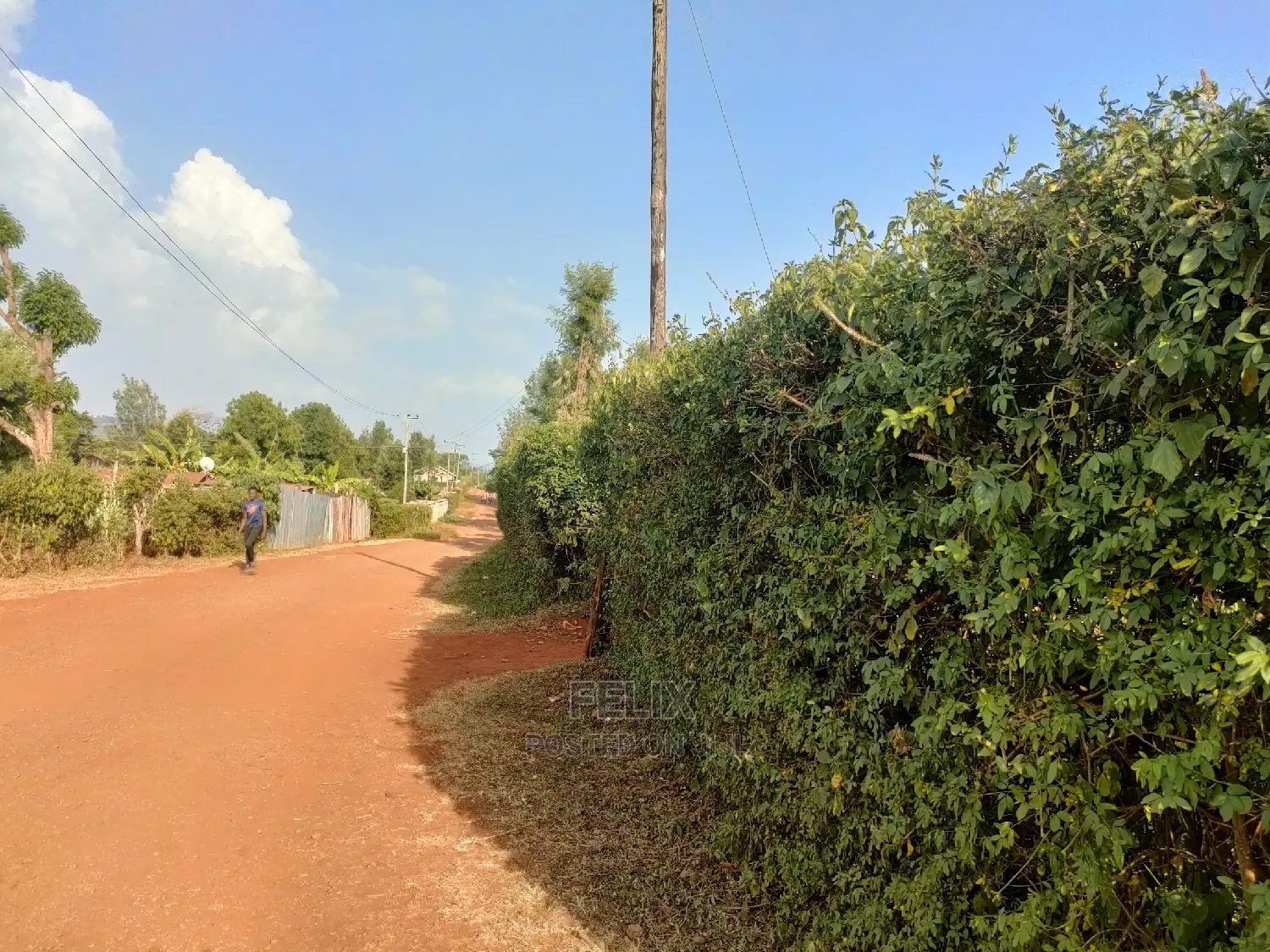 Nyeri/Kericho 7 Acres