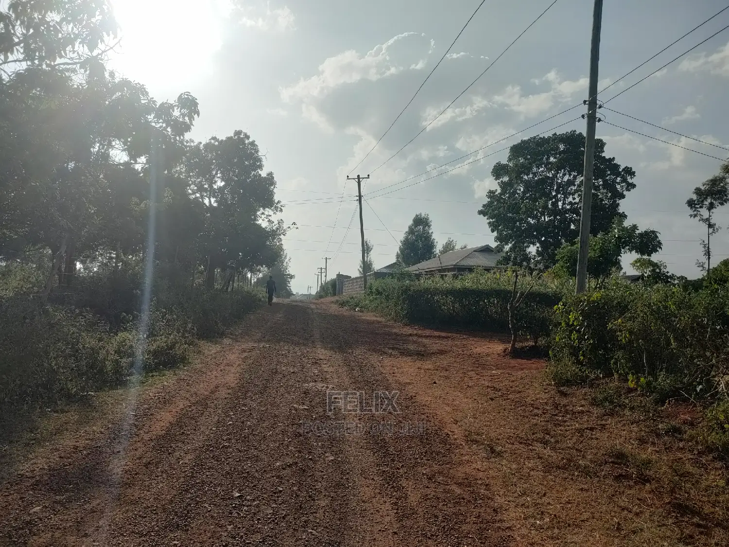 Nyeri/Kericho 7 Acres