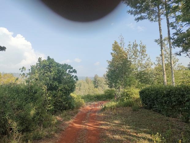Nyeri/Kericho 7 Acres