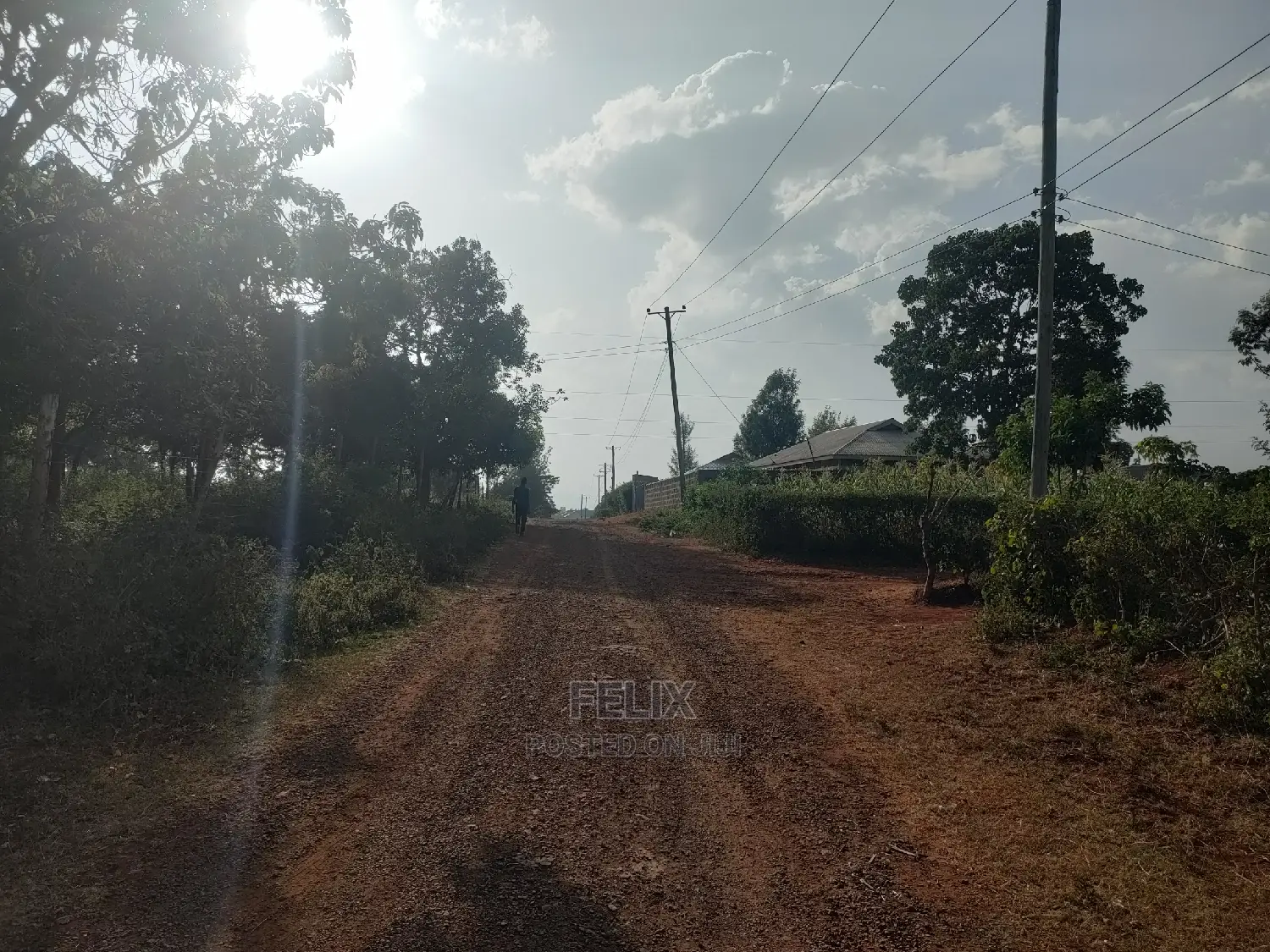 Nyeri/Kericho 7 Acres