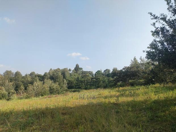 Nyeri/Kericho 7 Acres - thumbnail 11