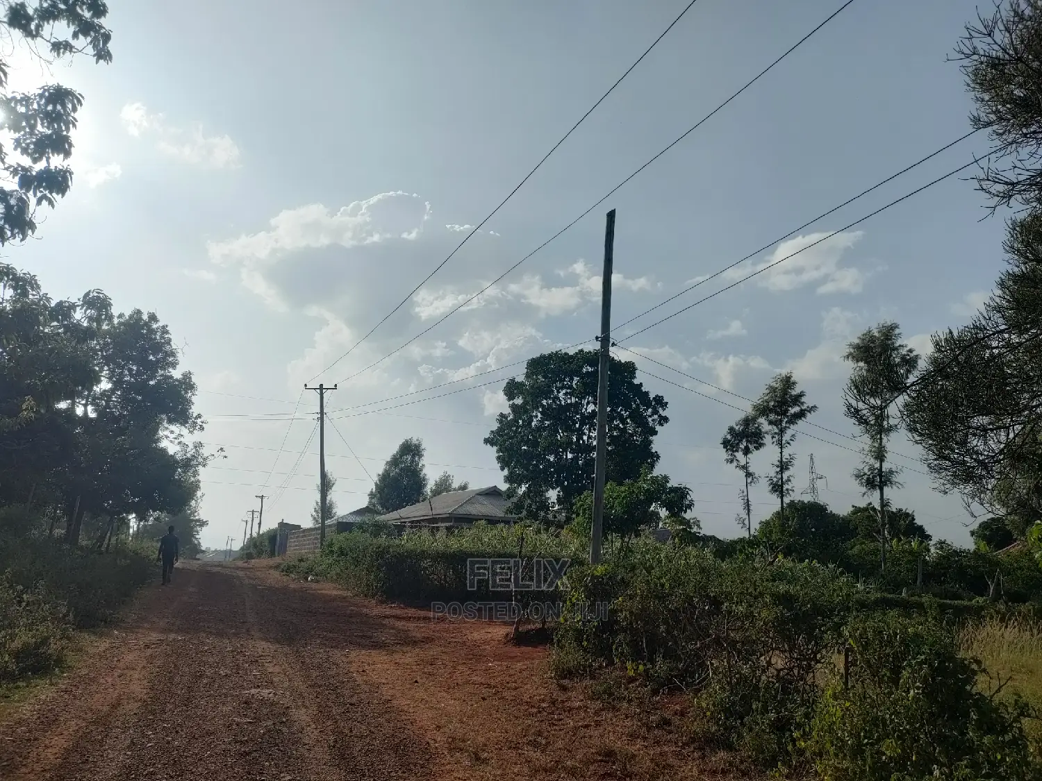 Nyeri/Kericho 7 Acres