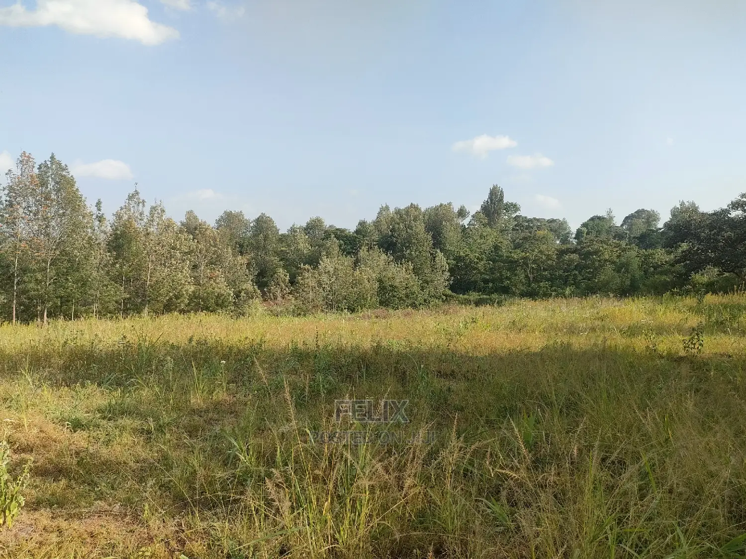 Nyeri/Kericho 7 Acres