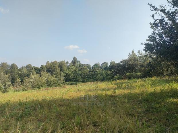 Nyeri/Kericho 7 Acres - thumbnail 13