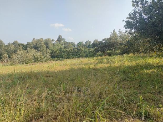 Nyeri/Kericho 7 Acres - thumbnail 15
