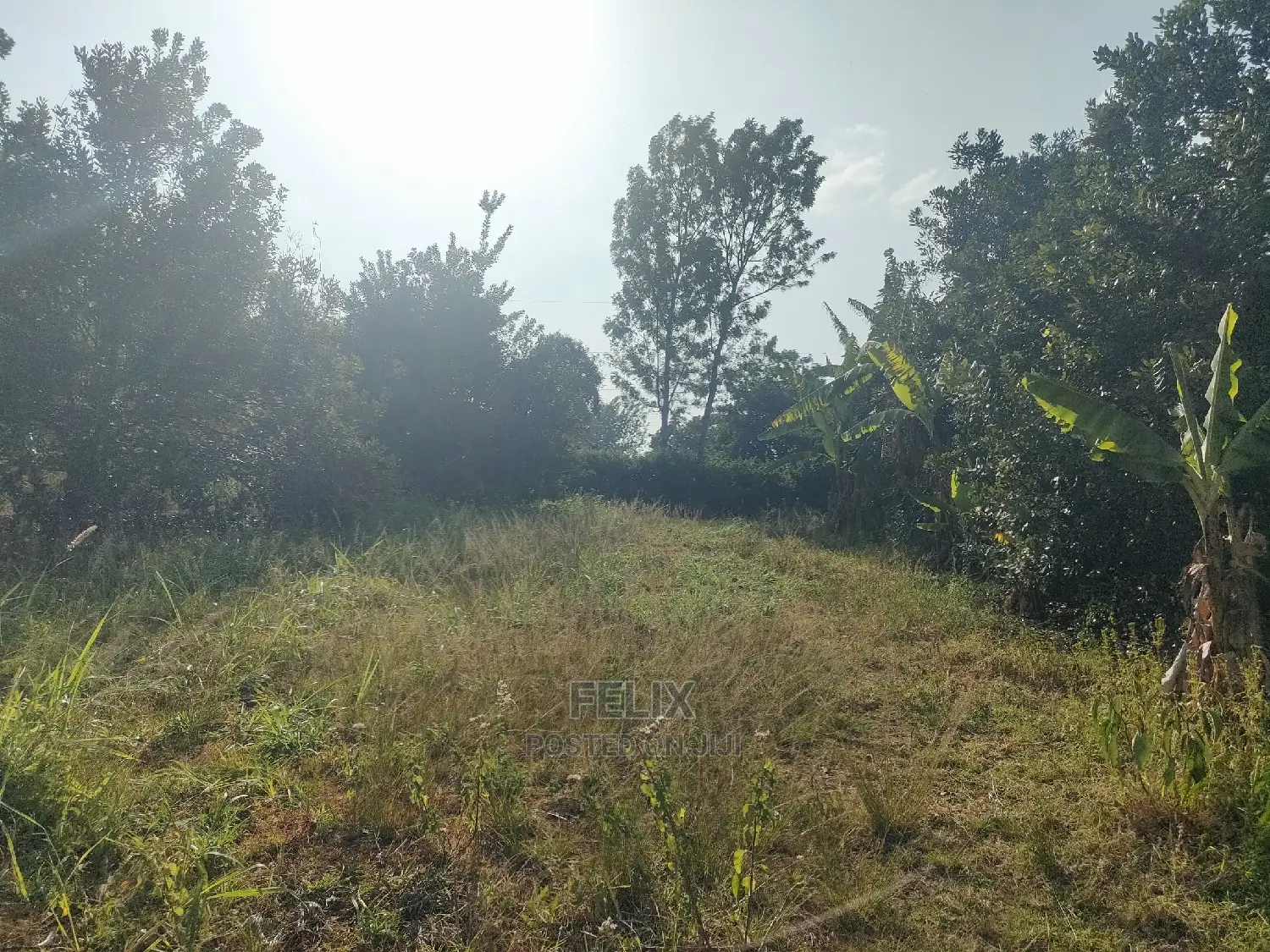 Nyeri/Kericho 7 Acres
