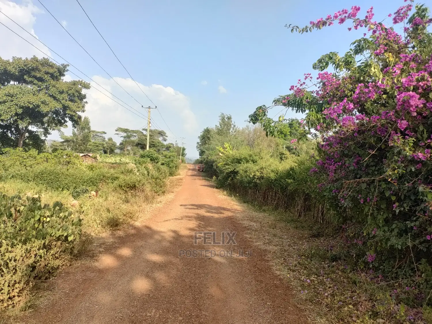 Nyeri/Kericho 7 Acres