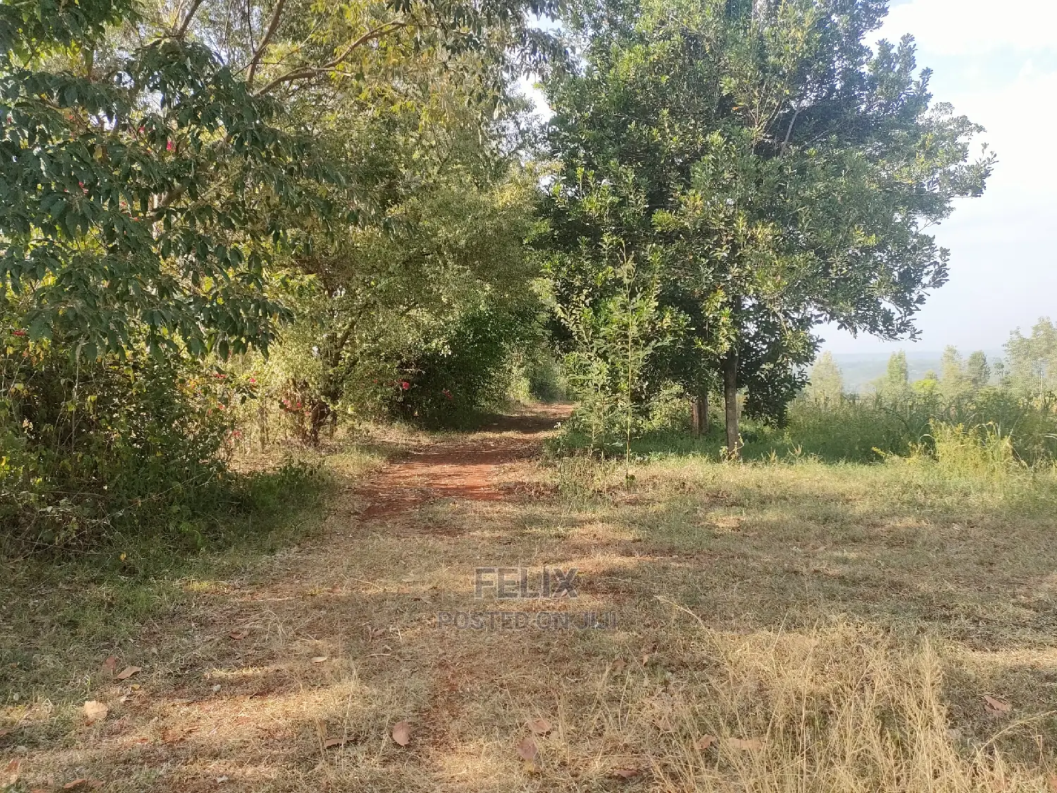 Nyeri/Kericho 7 Acres