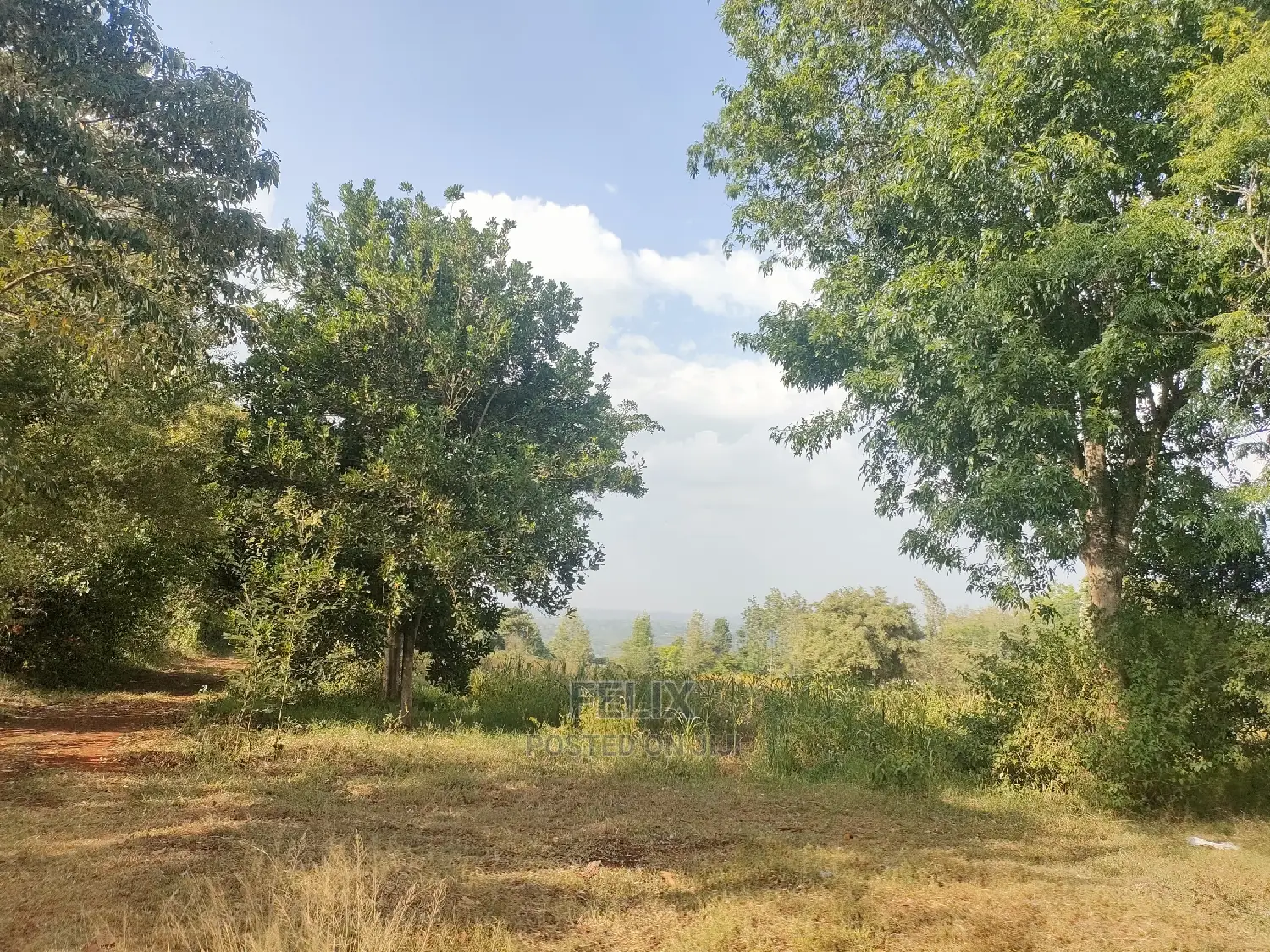 Nyeri/Kericho 7 Acres
