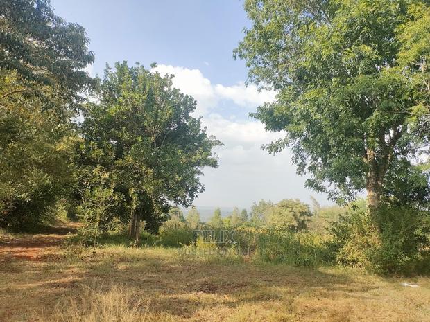 Nyeri/Kericho 7 Acres - thumbnail 20