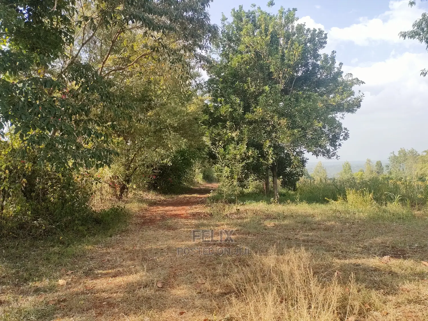 Nyeri/Kericho 7 Acres