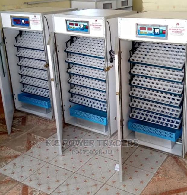 Imported Automatic Quality 1056 Egg Incubator - main view