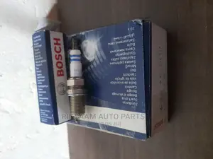 Double Platinum Spark Bosch
