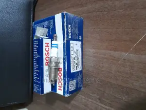Double Platinum Spark Bosch