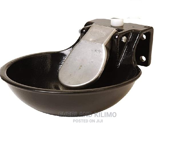 Cast Iron Drinking Bowl- Cow - main view