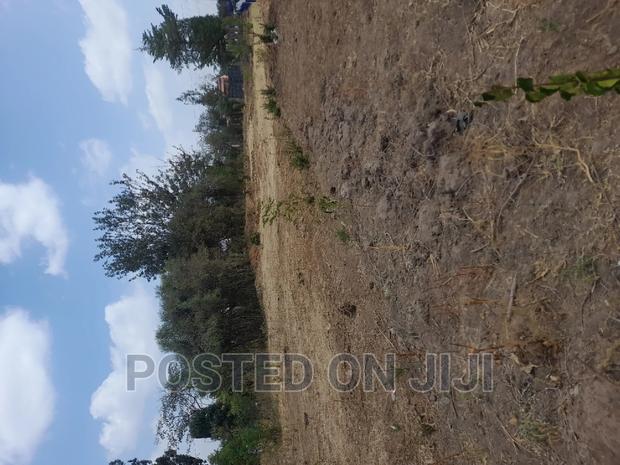 Green Park - main view