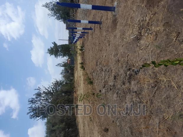 Green Park - thumbnail 3