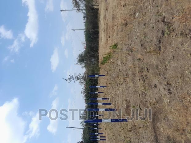 Green Park - thumbnail 4